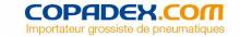Grossiste en pneus depuis 1980 Châlette-sur-loing dans le 45 COPADEX
